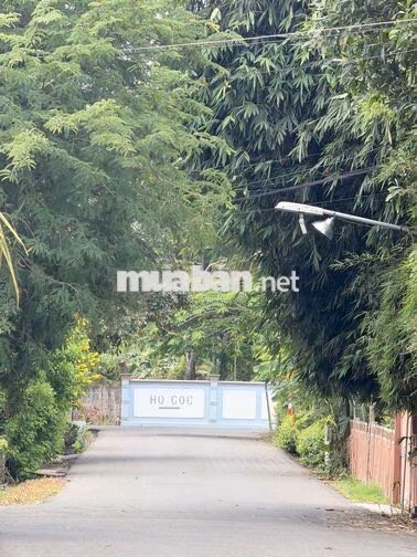 Bán Đất 21x40 có sẵn 100 m2 thổ giá 8.4 tỷ Xã Bưng Riềng