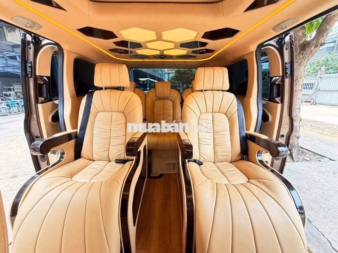 Ford Tourneo Limousine 2021 Bản cao cấp Nâu
