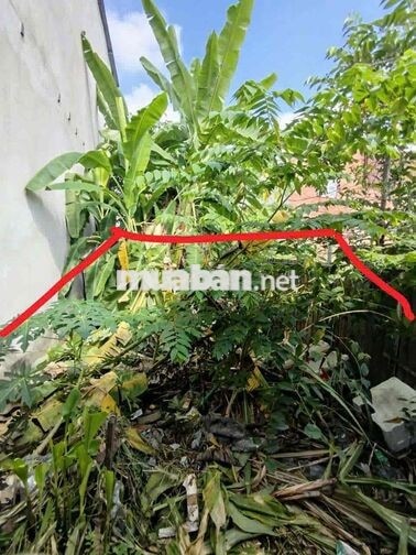 cần bán gấp đất thổ cư vĩnh lộc a, bình chánh