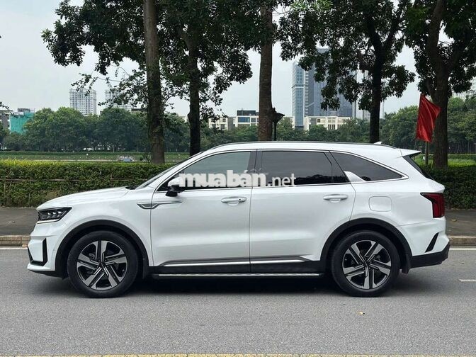 Kia Sorento 2.2 Signature sx 2022 xe đẹp