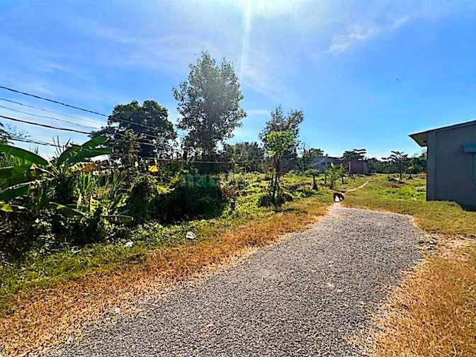 Công ty Đấu giá hợp danh Lam Sơn Sài Gòn thông báo đấu giá tài sản