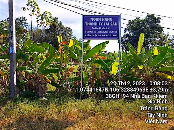 Công ty Đấu giá hợp danh Lam Sơn Sài Gòn thông báo đấu giá tài sản