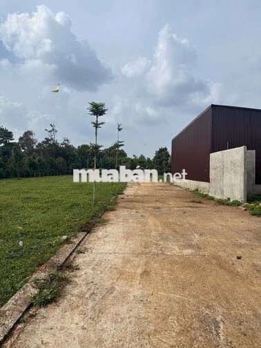 Đất gần thành phố dành cho những bạn trẻ mới lập nghiêp