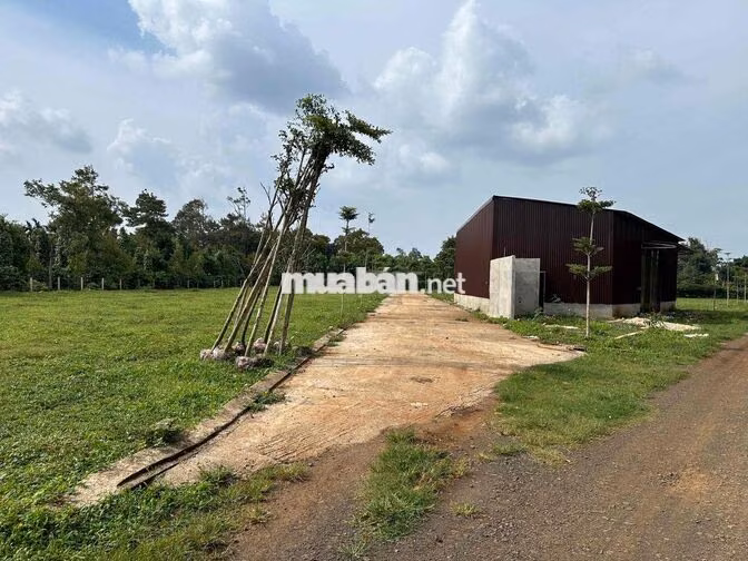 Đất gần thành phố dành cho những bạn trẻ mới lập nghiêp