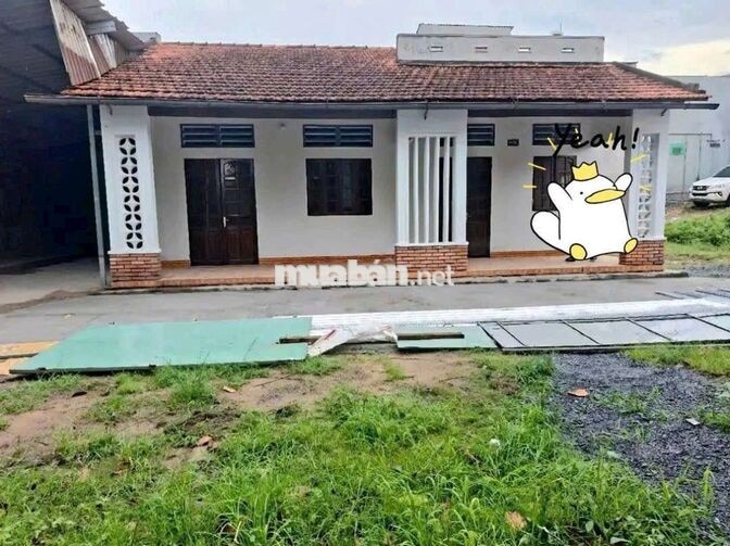 Cần sang ngay nhà vườn 1000m2 ,có thổ cư ở Bình Phước cũ,giá 355 triệu