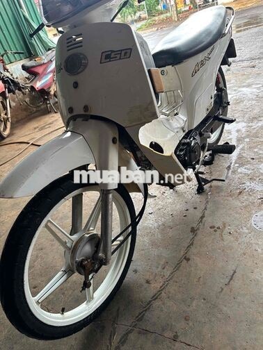 Max Neo 50 Trắng Xe số