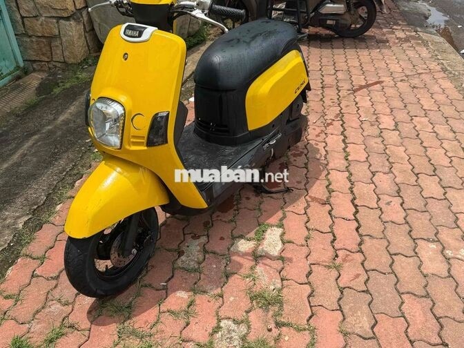 Yamaha Cuxi Vàng