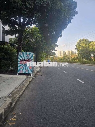 Biệt Thự 2MT Phú Mỹ Hưng, 15x18(303m2), SHR, Hoàn Công, 4 Tầng, 115 tỷ