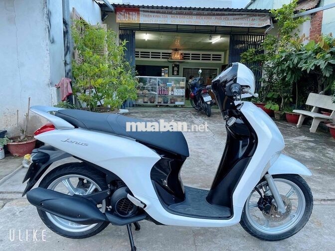 Yamaha Janus 2019 Trắng