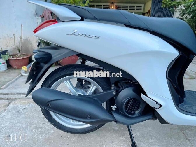 Yamaha Janus 2019 Trắng