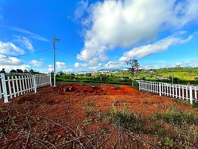 Công ty Đấu giá hợp danh Lam Sơn Sài Gòn thông báo đấu giá tài sản