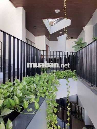 Cho thuê căn hộ 1 phòng ngủ, 50m2, ban công rộng, tầng 4, hướng biển