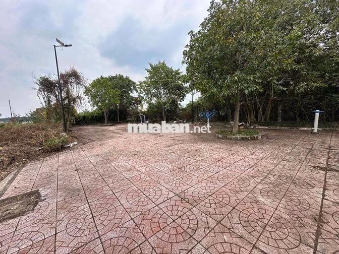 CHỦ NGỘP BANK–ĐẤT KHU PHÂN LÔ NEW CENTER BÌNH CHÁNH – 100M² CHỈ 2.9
