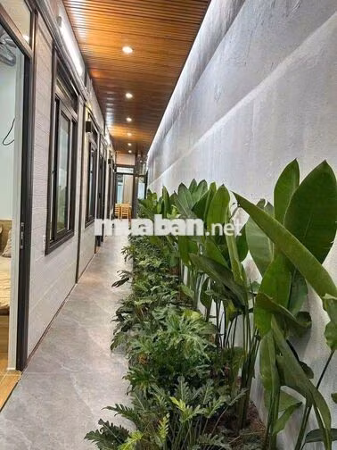 🏡 CHO THUÊ NHÀ SÂN VƯỜN KHU MÂN THÁI 