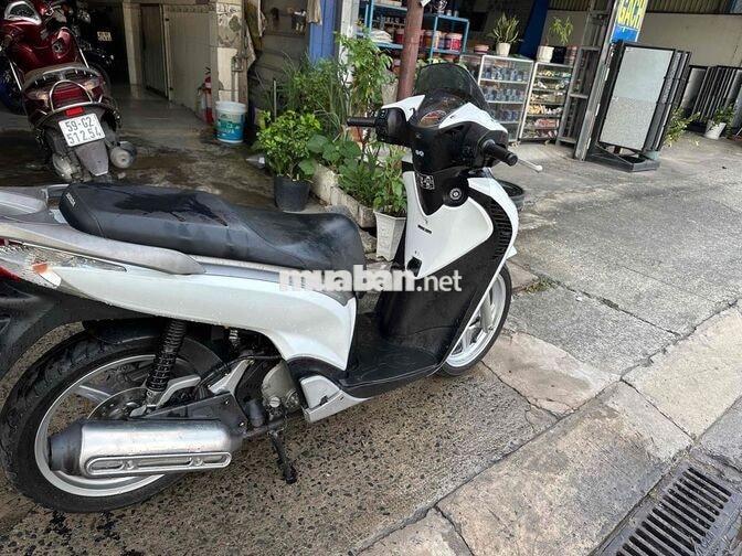 Honda SH Ý 150 2011 Trắng