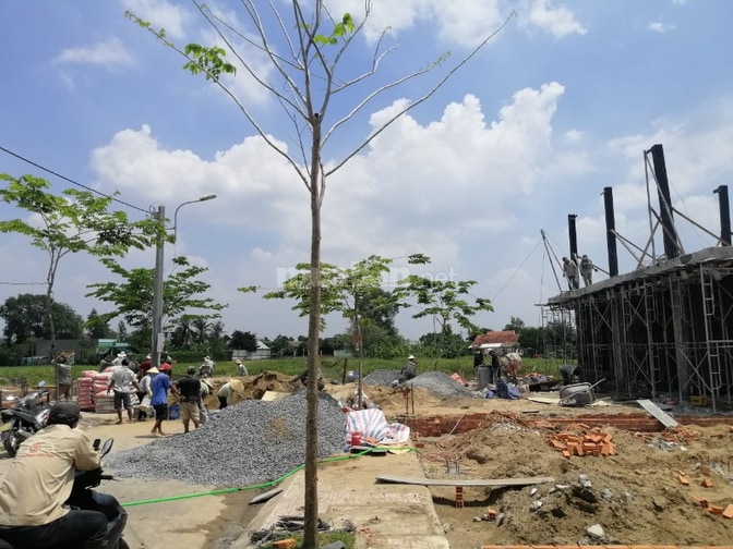 Bán lô đất Xã Long Trạch - Cần Đước, 116m2, nở hậu,1,88 tỷ, XDTD 