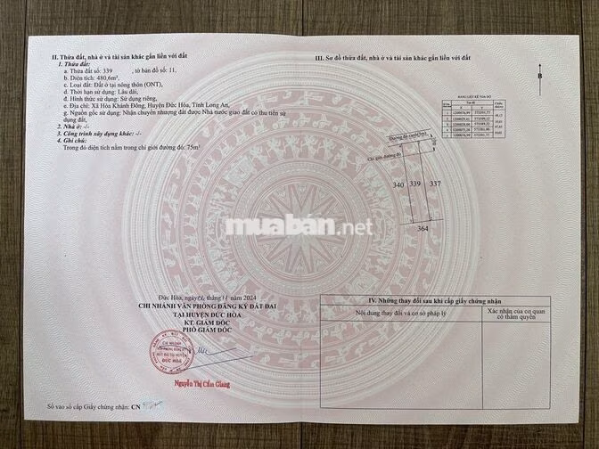 CHÍNH CHỦ BÁN ĐẤT 10×48, FULL THỔ, SỔ SẴN, CÔNG CHỨNG LIỀN, GẦN QL N2