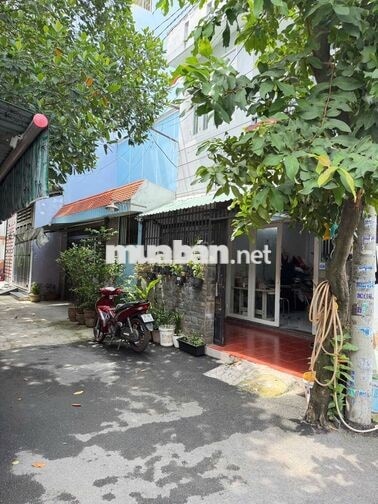 chính chủ cho thuê nhà hẻm xh một xẹc Quang Trung
