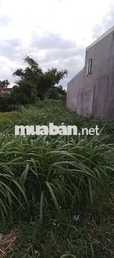 CC cần bán 140m2 tại Thôn Đại Lễ, Phước Hiệp, Tuy Phước, giá đầu tư