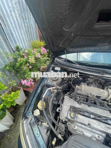 Ford Laser 2002 Xanh