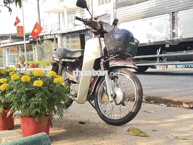 Honda Dream Thái 1994 Tím