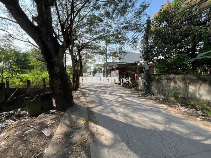 ĐẤT THỔ CƯ 221M2, ĐƯỜNG 8M, VĨNH LỘC B BÌNH CHÁNH