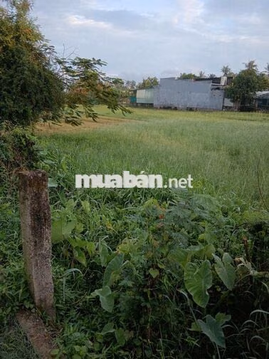 Bán gấp lô đất 1.782m² thế nở hậu cực đẹp (Thửa 114) – Giá tốt đầu tư