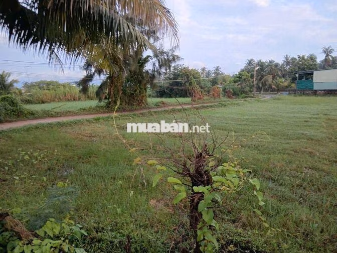 Bán gấp lô đất 1.782m² thế nở hậu cực đẹp (Thửa 114) – Giá tốt đầu tư