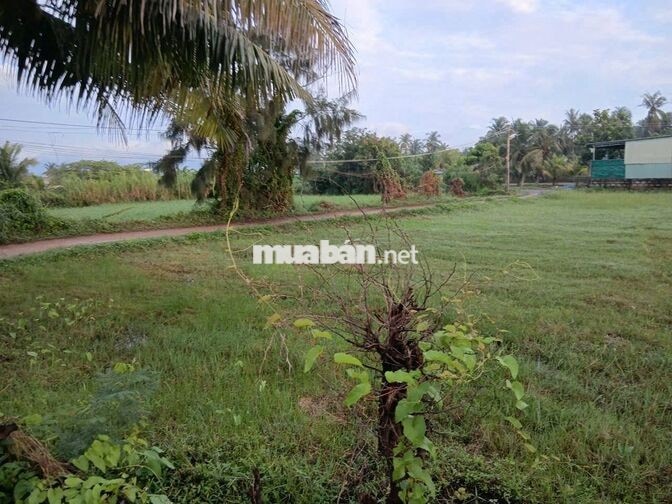 Bán gấp lô đất 1.782m² thế nở hậu cực đẹp (Thửa 114) – Giá tốt đầu tư