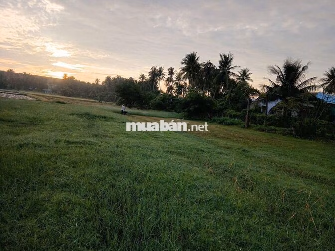 Bán gấp lô đất 1.782m² thế nở hậu cực đẹp (Thửa 114) – Giá tốt đầu tư