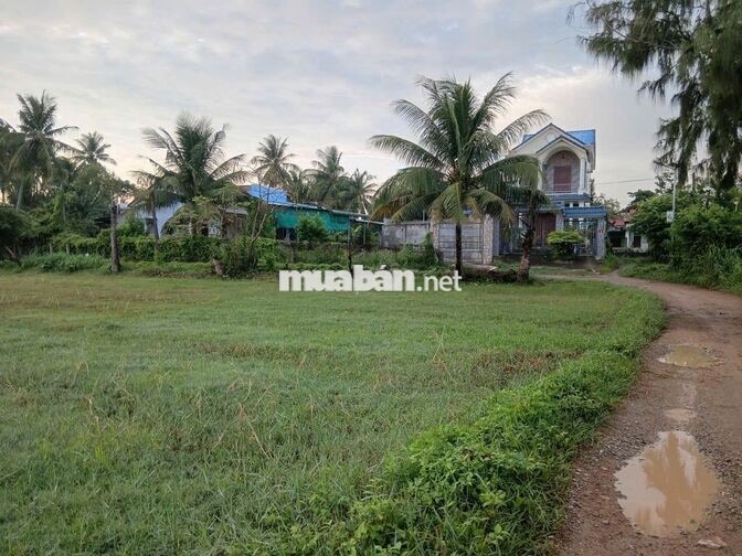 Bán gấp lô đất 1.782m² thế nở hậu cực đẹp (Thửa 114) – Giá tốt đầu tư