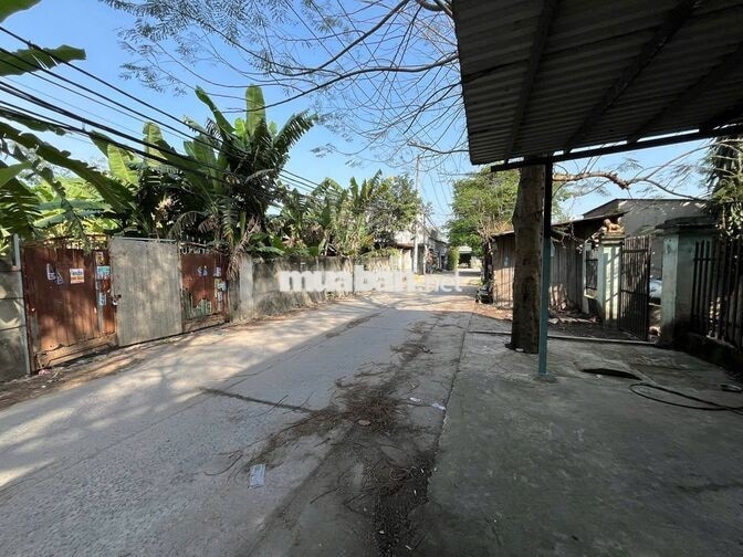 ĐẤT THỔ CƯ 221M2, ĐƯỜNG 8M, VĨNH LỘC B BÌNH CHÁNH