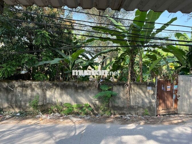 ĐẤT THỔ CƯ 221M2, ĐƯỜNG 8M, VĨNH LỘC B BÌNH CHÁNH