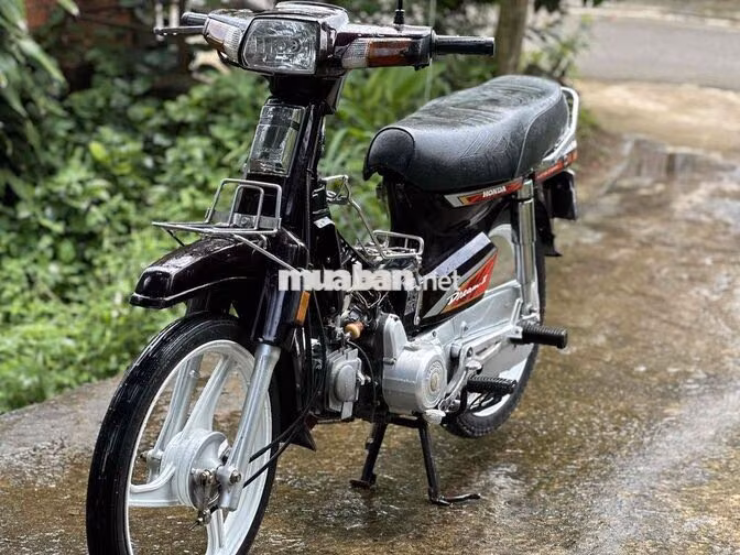 Honda Super Dream 1999 Nâu