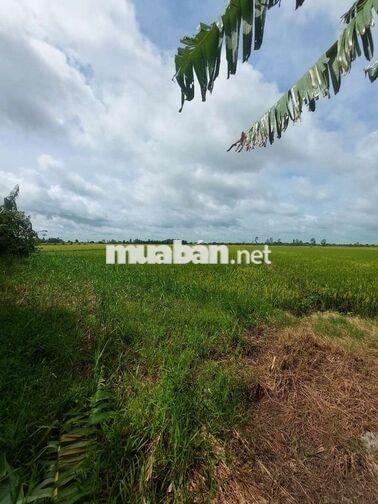 Cần Bán đất Châu Thành Sóc Trăng