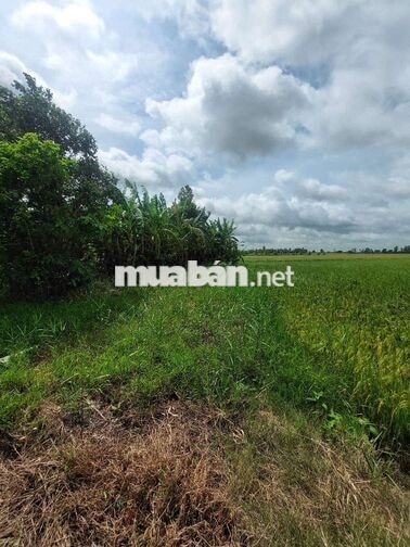 Cần Bán đất Châu Thành Sóc Trăng