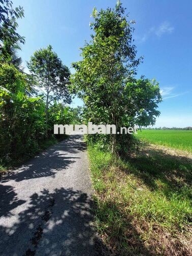 Cần Bán đất Châu Thành Sóc Trăng