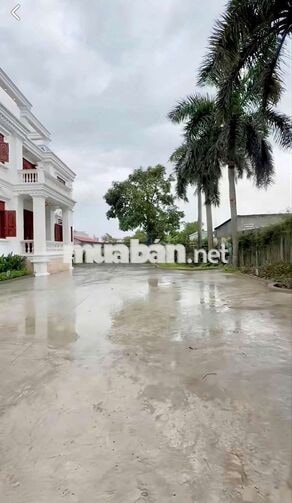 Bán biệt thự vườn Thạnh Lộc 37-Q12. Dt 27x27~732m2~3 tấm. 29ty