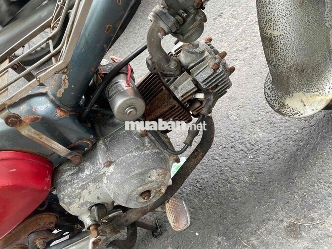 Honda Cub có đề