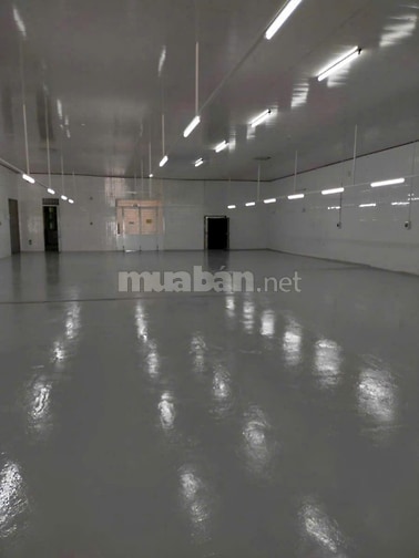 BÁN NHÀ XƯỞNG KHU PHỐ 3, XÃ TÂN PHƯỚC 1, TỈNH ĐỒNG THÁP