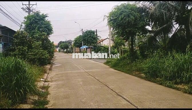 Mặt tiền Trần Văn Nghĩa Full thổ Tạo dòng tiền