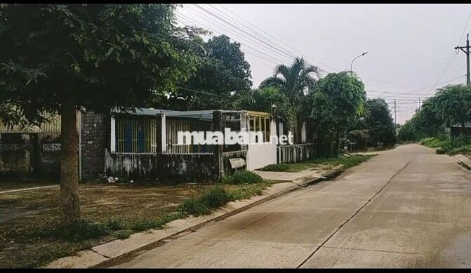 Mặt tiền Trần Văn Nghĩa Full thổ Tạo dòng tiền