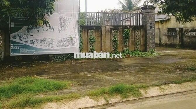Mặt tiền Trần Văn Nghĩa Full thổ Tạo dòng tiền