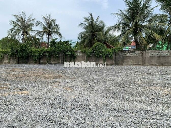 Mặt tiền Trần Văn Nghĩa Full thổ Tạo dòng tiền