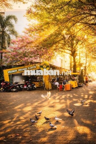  Bán nhà phố vườn Ehome4 Nam Long Bắc Sài Gòn