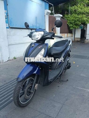 Shark mini Fi 125#ngay chủ#Vision,Lead,Click,Janus