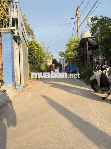 BÁN ĐẤT GẦN TRƯỜNG HỌC PHÚ HOÀ