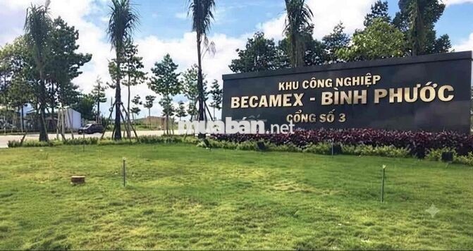 chính chủ bán gấp 2 dãy trọ tại Becamex Chơn Thành giá rẻ thu nhập 21t