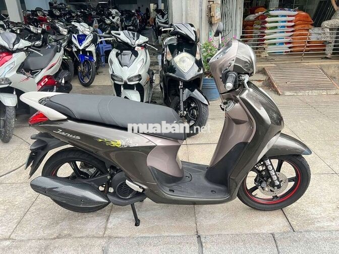Yamaha Janus 2019 Nâu