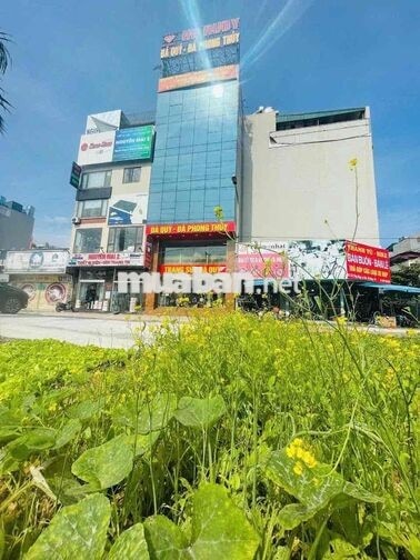Cho thuê văn phòng vị trí đắc địa